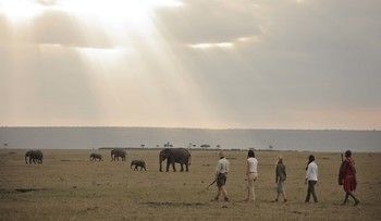 מסאי מארה Elephant Pepper Camp מראה חיצוני תמונה